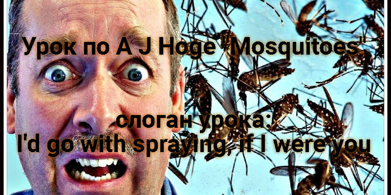 Аудирование Mosquitoes