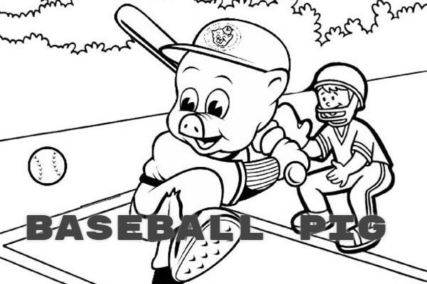 BASEBALL PIG