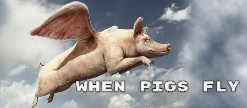 When Pigs Fly