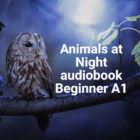 Animals at Night audiobook