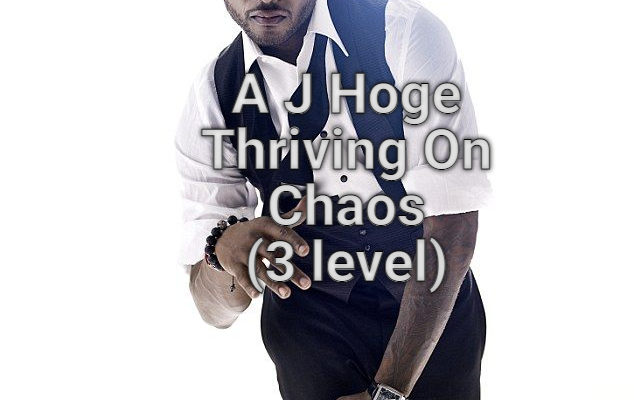 Hoge Thriving On Chaos 3 level