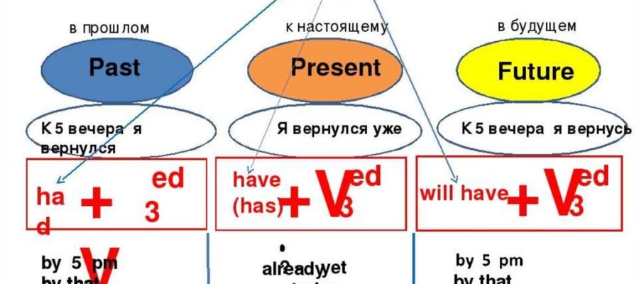 Времена в английском perfect tense тренинг